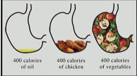 More Stable Appetite and Weight: