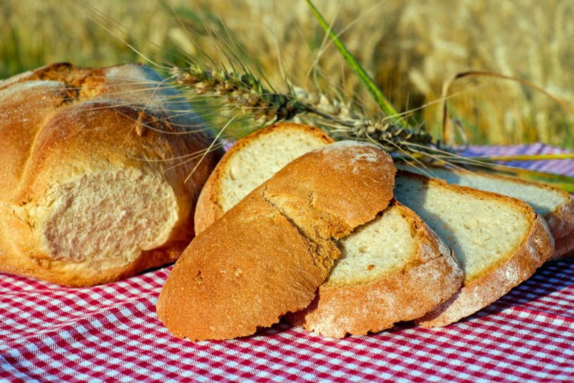 How "Healing is the Children’s Bread" Applies Today: