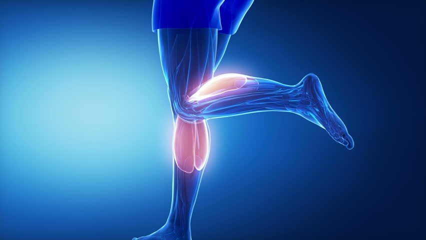 Understanding a Calf Strain: