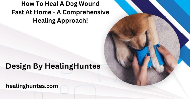 how to heal a dog wound fast at home