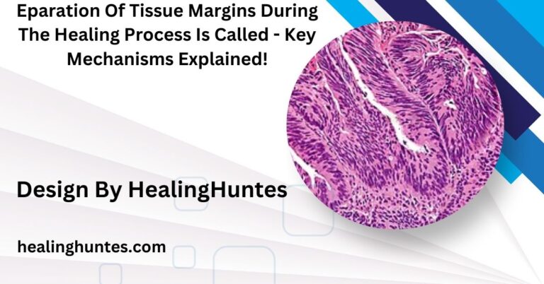 eparation of tissue margins during the healing process is called