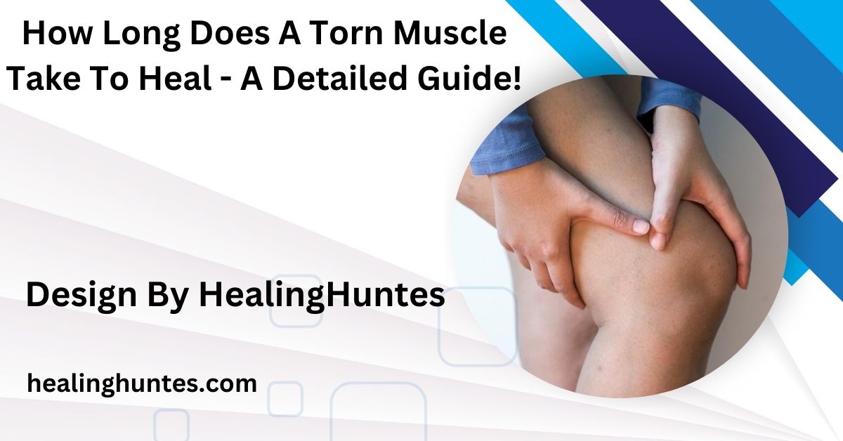 how long does a torn muscle take to heal