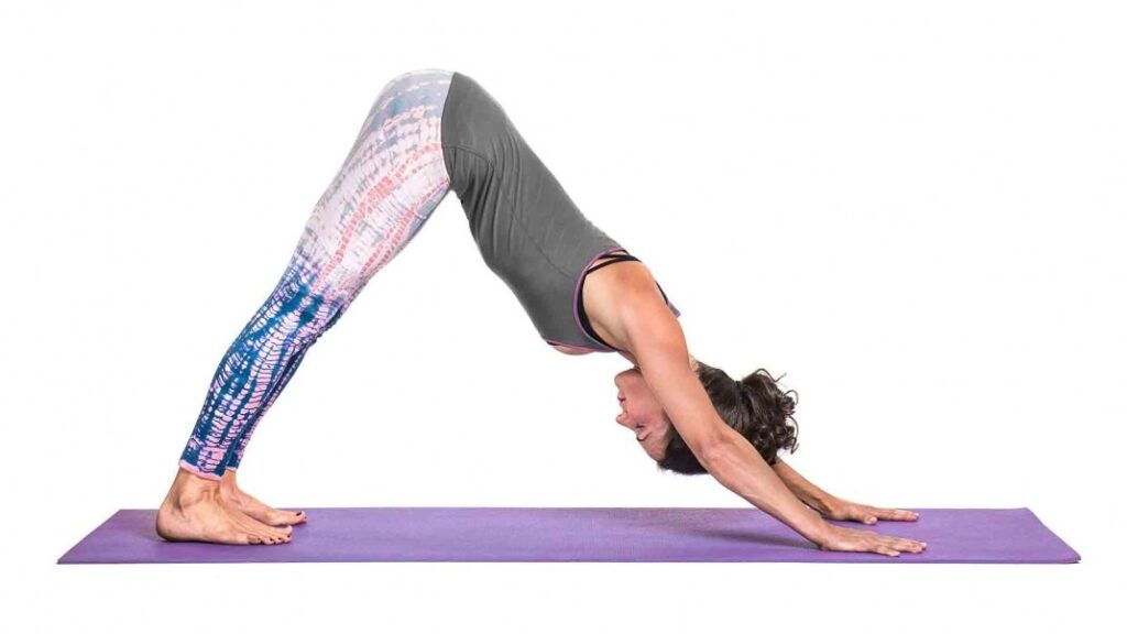 Downward Dog: (Adho Mukha Svanasana)