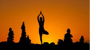 Other Influential Figures in Yoga: